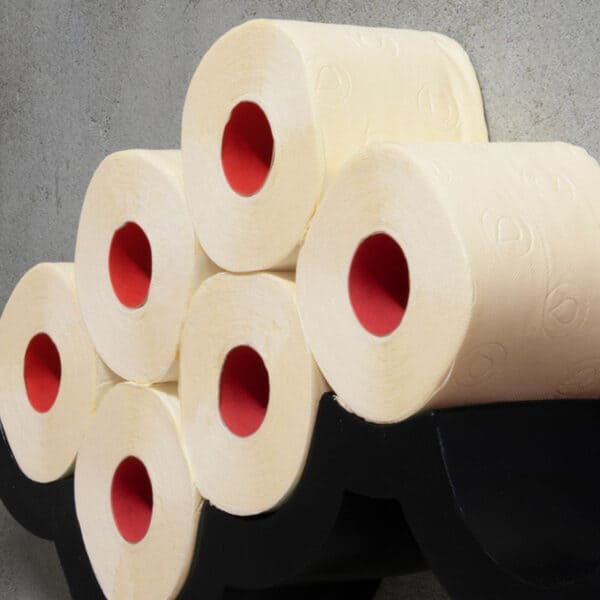 Luxury Scented Colored Toilet Paper 6 Jumbo Rolls 3-Ply-180 Sheets