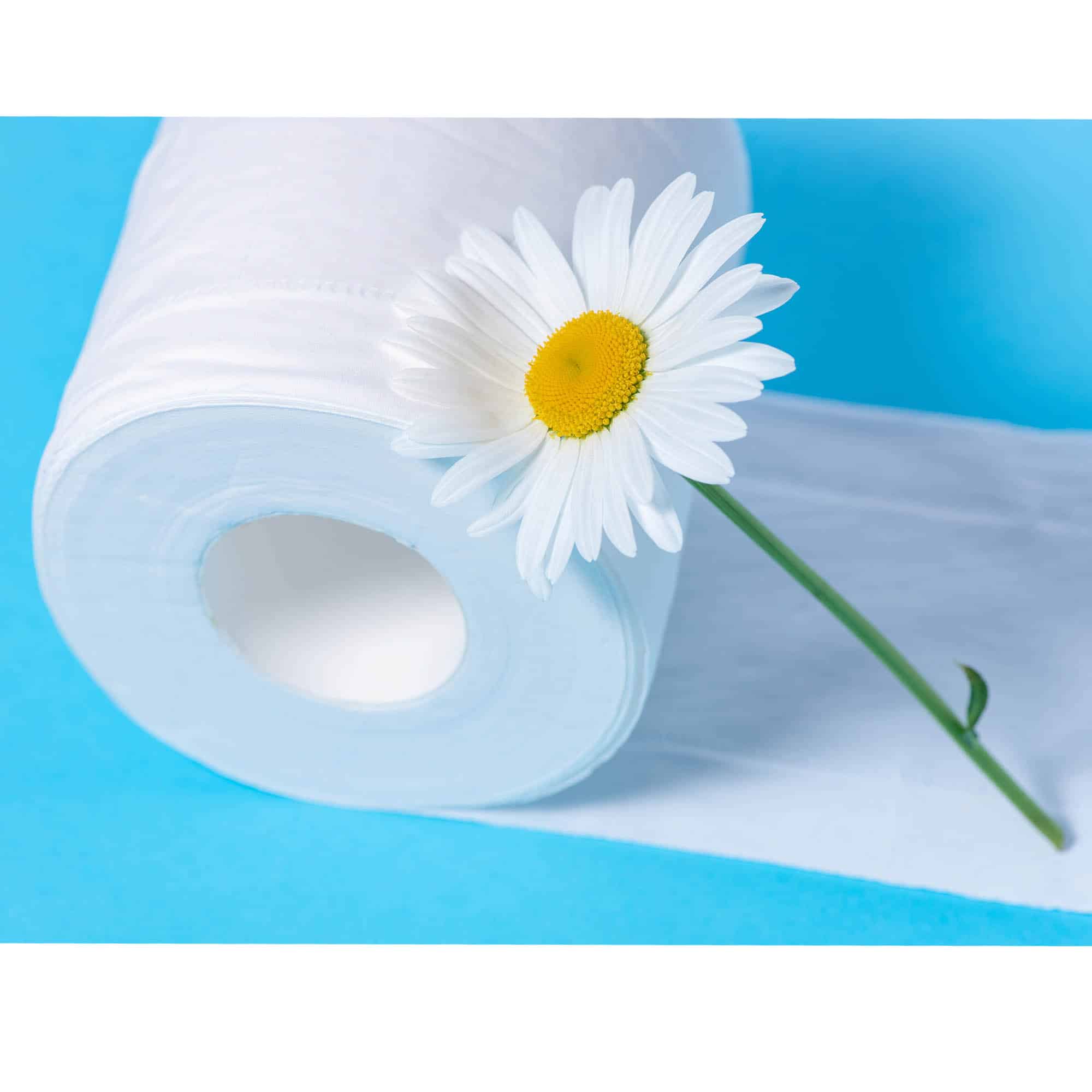 RENOVA SkinCare Papier hygiénique 3 plis blancs, 24 rouleaux