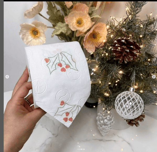 Renova Christmas Toilet Paper 4 Rolls
