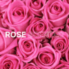 Pocket tissue Facial 3-Ply Purple Lavender Fuchsia rose blue blueberry pie red strawberry green