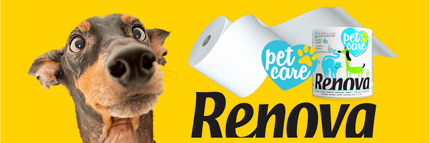 Pet Care Paper Towel Dog Cat