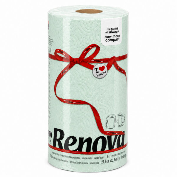 Renova Mint Green Paper Towel Roll 2-Ply 120 Sheets Compact Single Roll white background