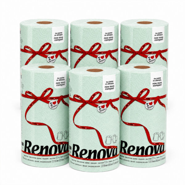 Renova Mint Green Paper Towel Rolls 6-Pack each 2-ply 120 sheets compact on white background
