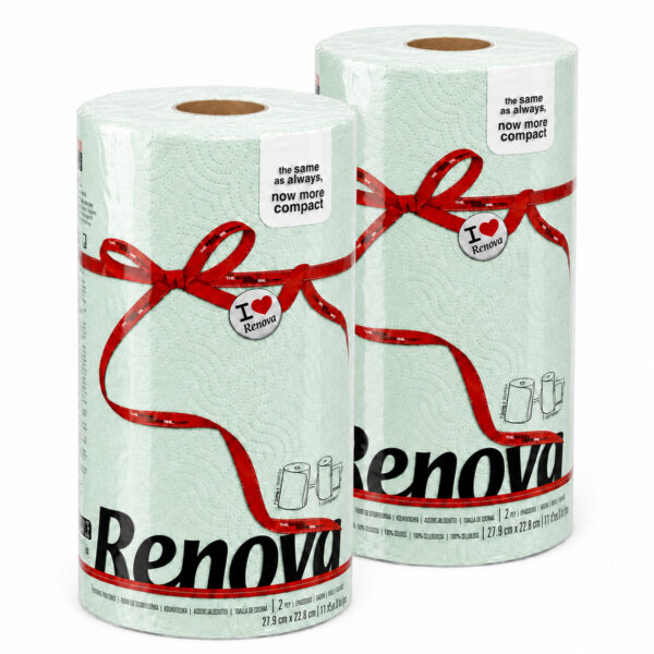 Renova Mint Green Paper Towel Rolls 2-Pack each 2-ply 120 sheets compact on white background