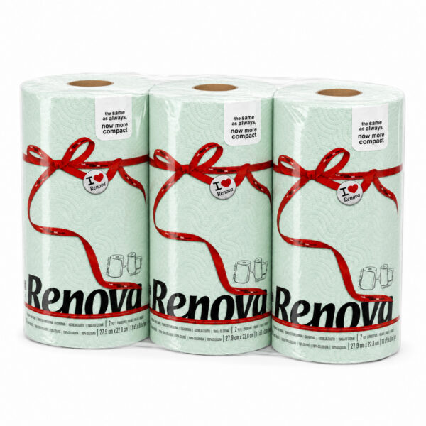 Renova Mint Green Paper Towel Rolls 3-Pack each 2-ply 120 sheets compact on white background