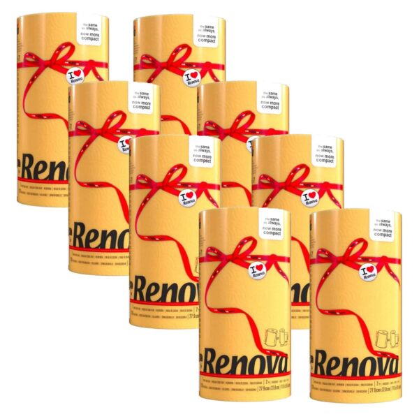 Renova mint kitchen paper towel Pack | Renova | 2-Ply Jumbo Roll