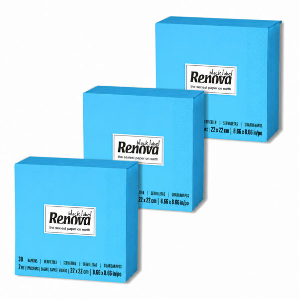 Renova Blue 2-Ply Cocktail Paper Napkins, Bulk 90 Count, 3 Packs